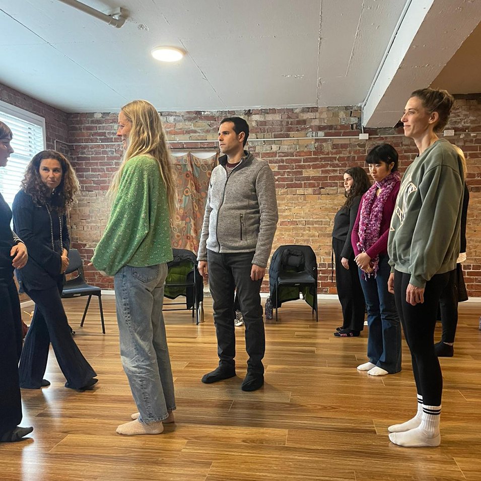 Group & Online Family Constellations Workshops